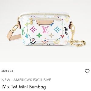 Louis Vuitton x Murakami Mini Bumbag - BRAND NEW - Sold OUT